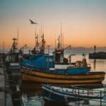 海上漁船停靠碼頭，夕陽背景彰顯台灣漁業與外勞就業服務相關影像.