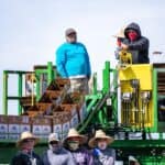 工地外勞工作場景，展現21世紀全球外勞集團多元合作活動　.