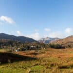 21世紀全球外勞集團風景圖片.