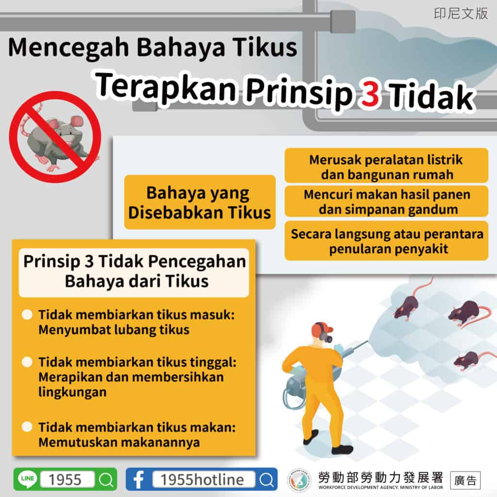 移工宣導｜預防鼠患落實 3 不原則-多國語示意圖