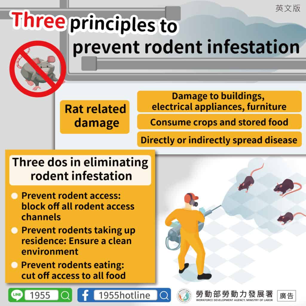 移工宣導｜預防鼠患落實 3 不原則-多國語示意圖