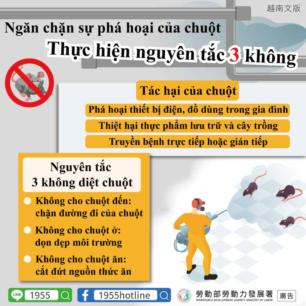 移工宣導｜預防鼠患落實 3 不原則-多國語示意圖