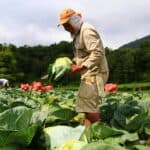 高雄外勞合作夥伴，專業外籍勞工派遣服務，協助企業提升產能，拓展國際市場。.