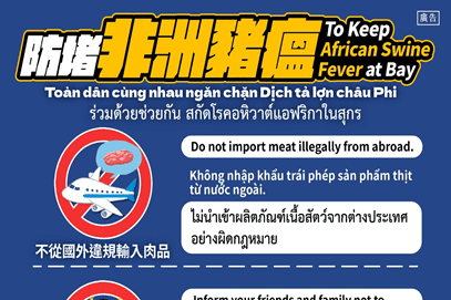 移工宣導｜防堵非洲豬瘟防疫圖卡示意圖