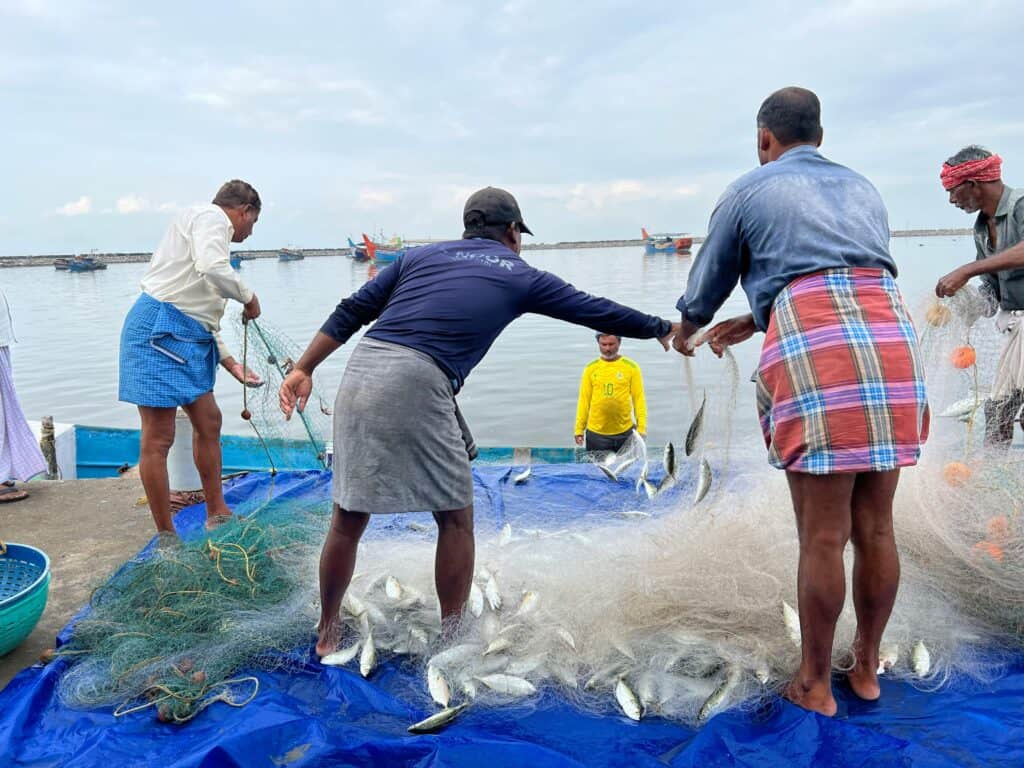 高雄漁民在碼頭上捕魚，展現台灣外勞集團多元海產捕撈合作。.
