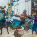 台灣外勞從事漁業捕撈作業，展現辛勤勞動與海洋資源利用。.