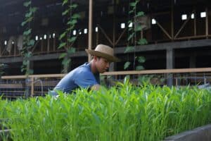 法令宣導｜勞動節國定假日 雇主應依法給薪給假  當日工作 8 小時內 一律加發一日工資示意圖
