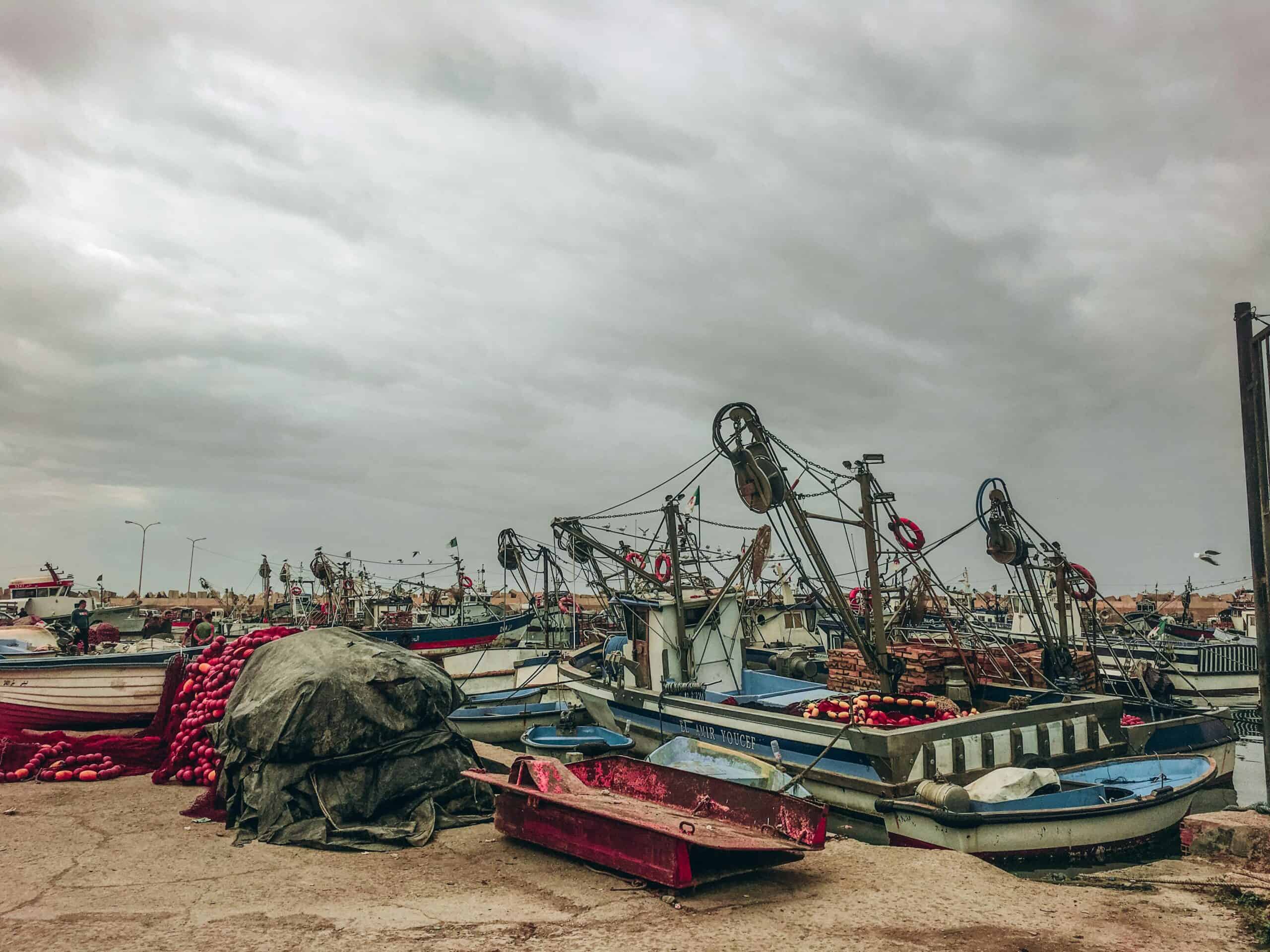多艘漁船在港邊停泊，海邊漁業活動場景，美麗海景與漁具彰顯台灣渔业特色。.