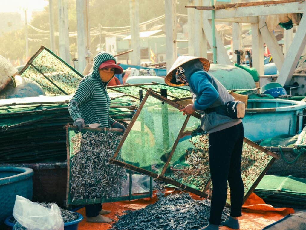 海邊魚販工作者在市場上分類處理新鮮魚貨.