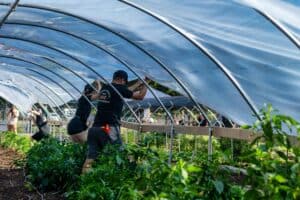 21世紀全球外勞集團協助外籍勞工在國際種植工廠進行農業作業，專業提供外勞服務與外籍人力派遣，促進海外人力資源管理與經濟發展。.