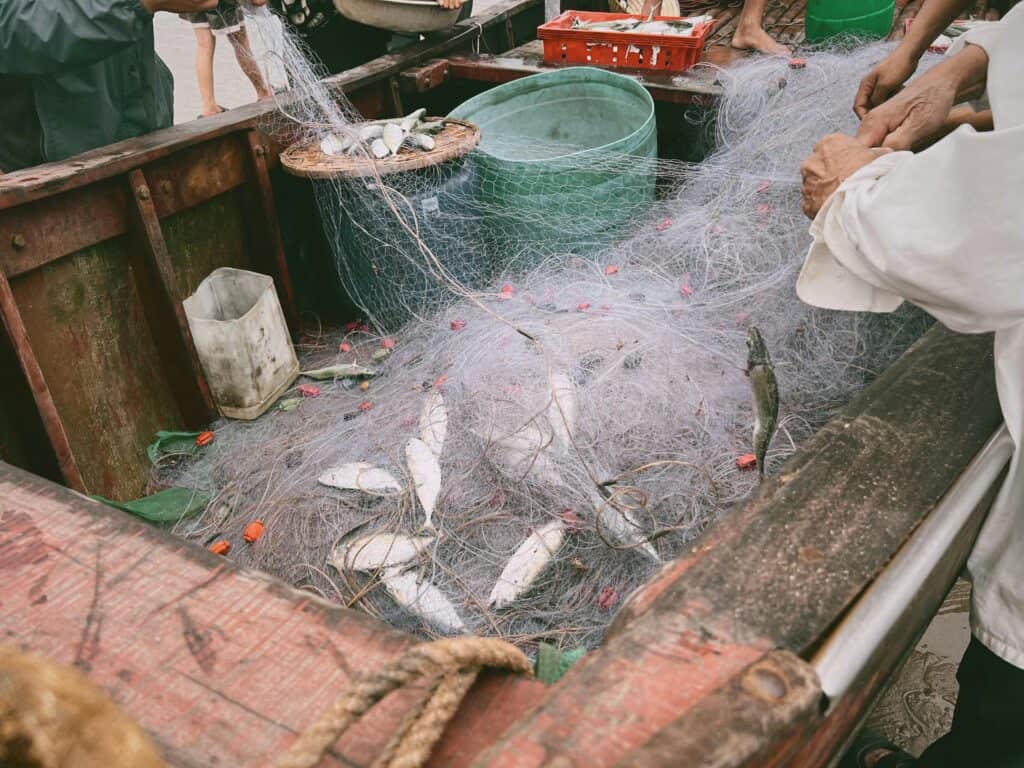 捕魚作業中的漁民在船上捕撈魚群，展示海上漁業的實際操作與捕撈技術。.