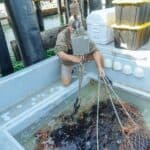 鱷魚捕撈作業，外勞在台灣釣魚漁業現場操作捕獲鱷魚，加強海洋捕撈與水產業工作服務，展現專業技能。.