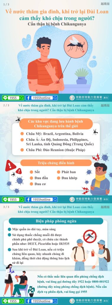 移工宣導｜返鄉回臺身體不適？小心是屈公病發作！-多國語示意圖