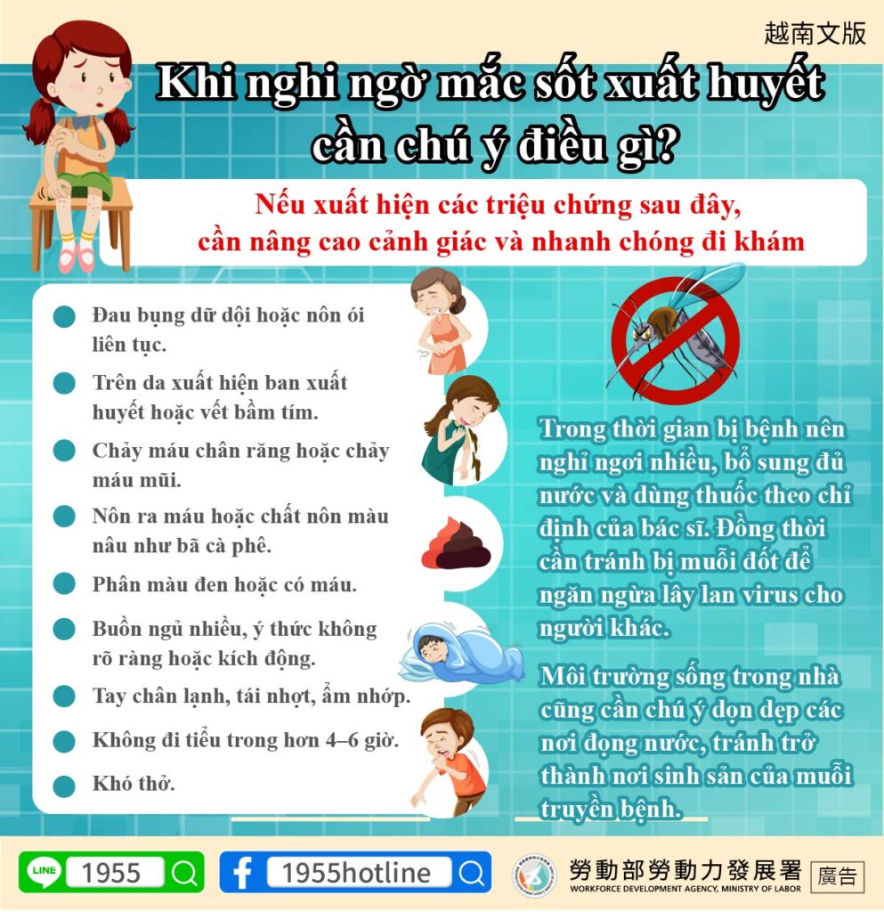 移工宣導｜疑似登革熱要注意什麼？-多國語示意圖